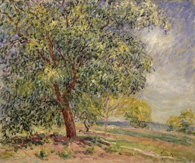 Noyer aux Sablons, printemps, 1885 - Alfred Sisley