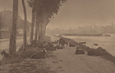  - Alfred Stieglitz