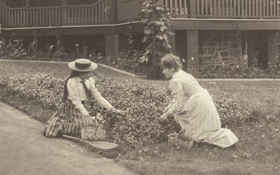 Un parterre de fleurs à Oaklawn - Alfred Stieglitz