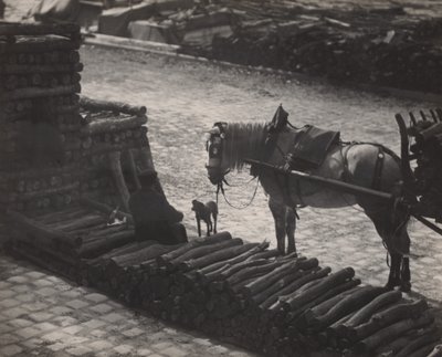  - Alfred Stieglitz