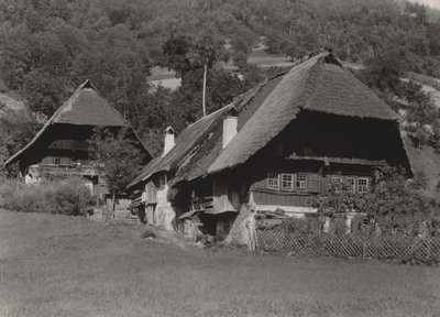  - Alfred Stieglitz