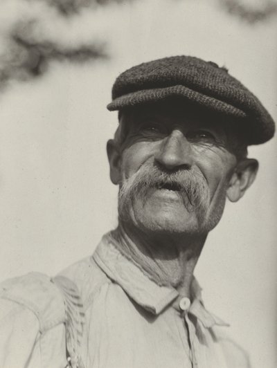  - Alfred Stieglitz