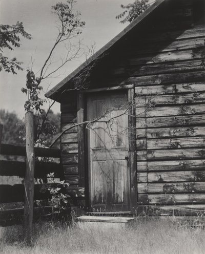  - Alfred Stieglitz