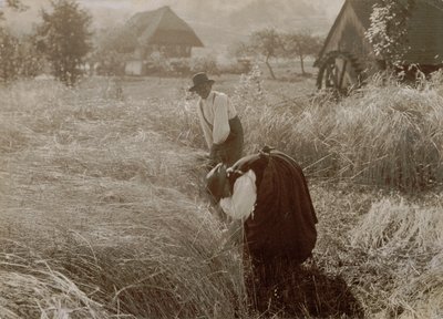  - Alfred Stieglitz