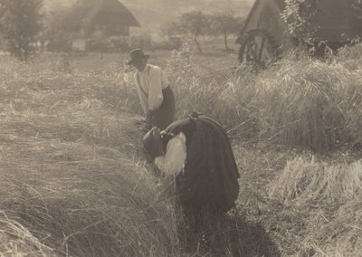  - Alfred Stieglitz