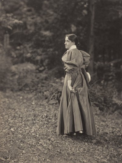  von Alfred Stieglitz
