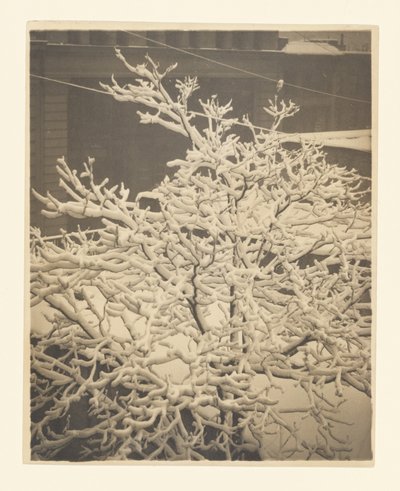  - Alfred Stieglitz