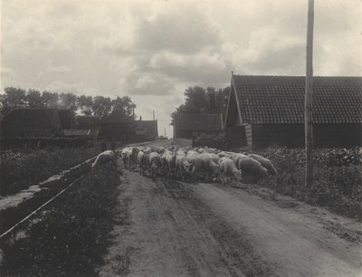  - Alfred Stieglitz