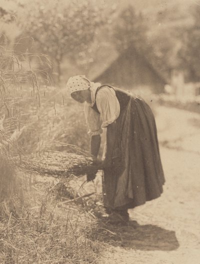  - Alfred Stieglitz