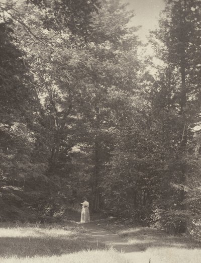  - Alfred Stieglitz