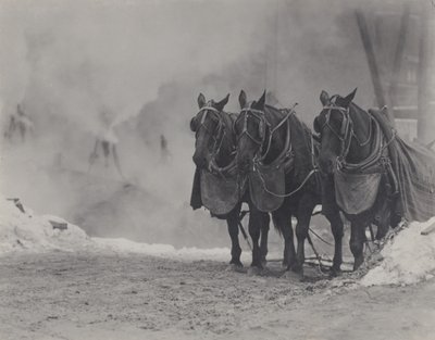 - Alfred Stieglitz