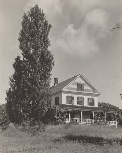  - Alfred Stieglitz