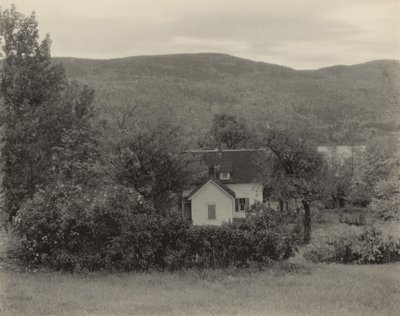  - Alfred Stieglitz