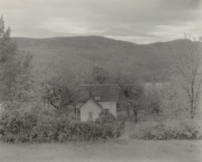  - Alfred Stieglitz