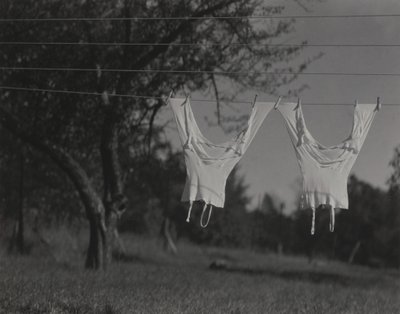  - Alfred Stieglitz