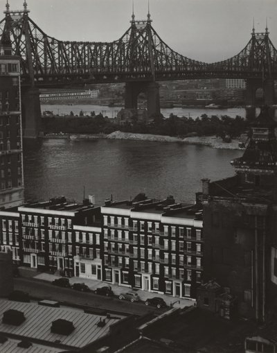  - Alfred Stieglitz