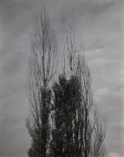  - Alfred Stieglitz