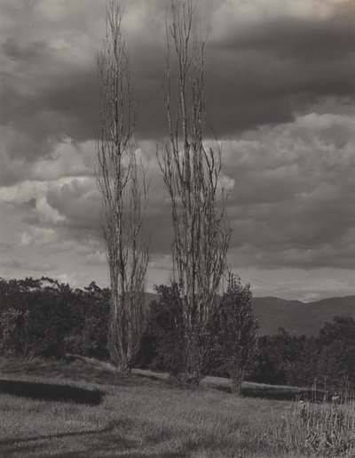  - Alfred Stieglitz