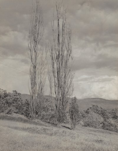  - Alfred Stieglitz