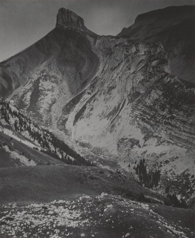  - Alfred Stieglitz
