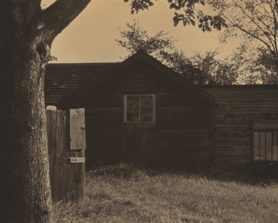  - Alfred Stieglitz