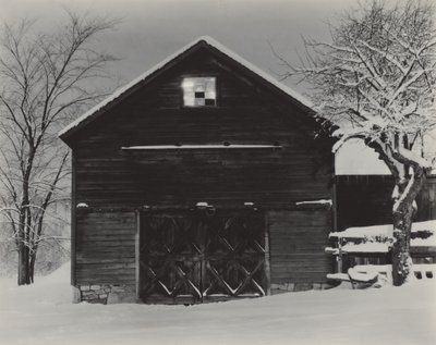  - Alfred Stieglitz