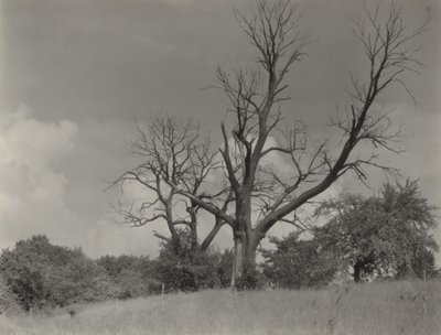  - Alfred Stieglitz