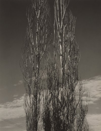  - Alfred Stieglitz