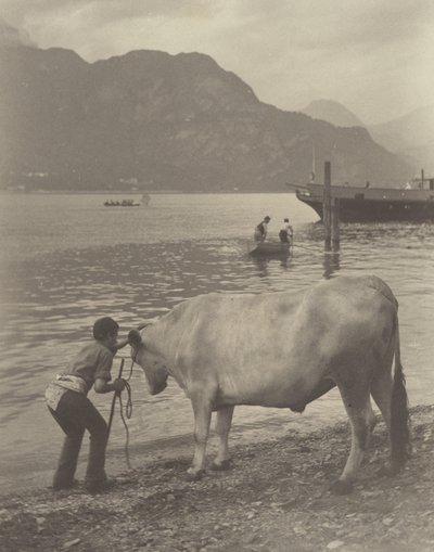 Le bain malgré soi - Alfred Stieglitz