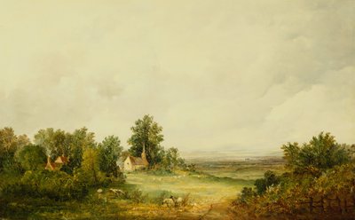 Moutons près d