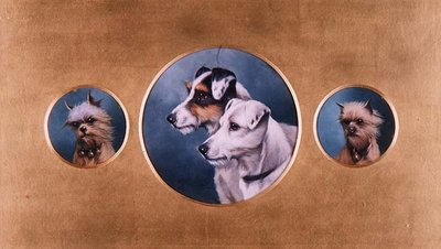 Terriers renards et terriers du Yorkshire - Alfred Wheeler