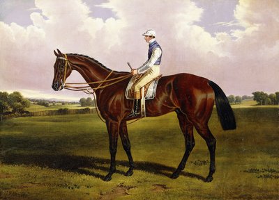 Bloomsbury, un cheval de course alezan avec Sam Templeman, dans un paysage - Alfred de Prades