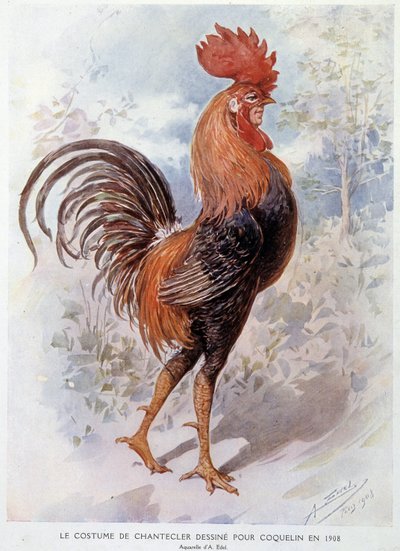 Costume de coq de Chantecler conçu pour Constant Poppy en 1908, pièce en vers par Edmond Rostand - Alfredo Edel