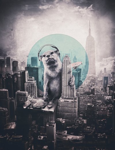 Urban Otter DJ - Ali Gulec