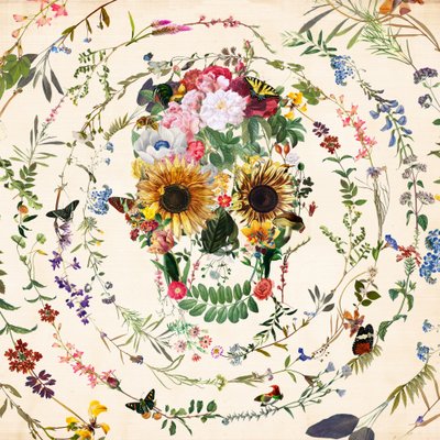Crâne floral éclatant - Ali Gulec