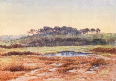  - Alice Julia Argles