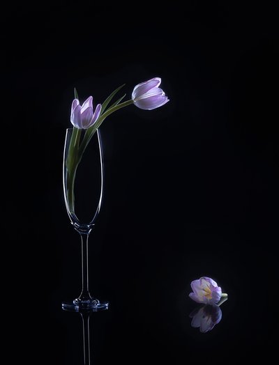  - Alice Sheng