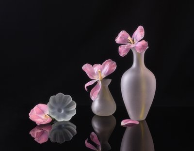  - Alice Sheng