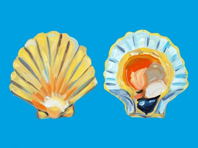 Coquilles Saint-Jacques dorées - Alice Straker