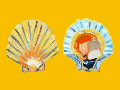 Coquilles Saint-Jacques dorées - Alice Straker
