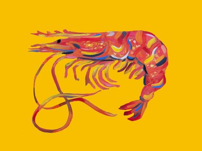 Crevette rouge vif - Alice Straker