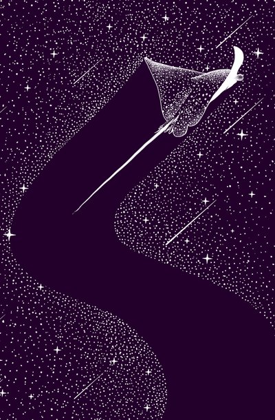 Raie aigle céleste - Alirıza ÇAKIR