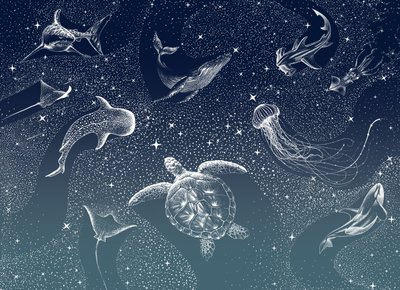 La vie marine céleste - Alirıza ÇAKIR