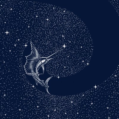 Espadon céleste - Alirıza ÇAKIR