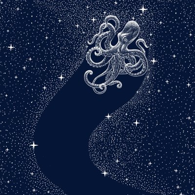 La montée en flèche de Cosmic Octopus - Alirıza ÇAKIR