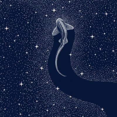 Requin cosmique - Alirıza ÇAKIR