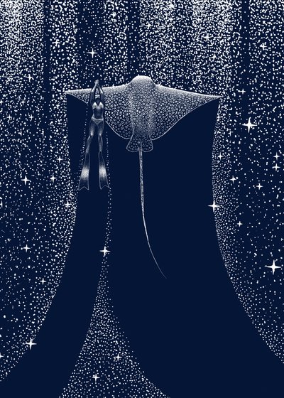 Le compagnon de Starlit Ray - Alirıza ÇAKIR