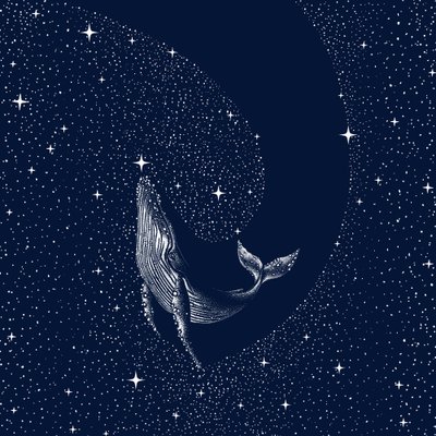 La baleine de la nuit étoilée - Alirıza ÇAKIR