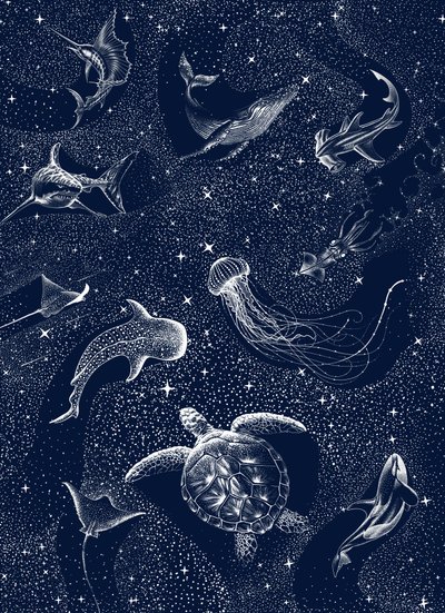 Les créatures de Starry Ocean - Alirıza ÇAKIR