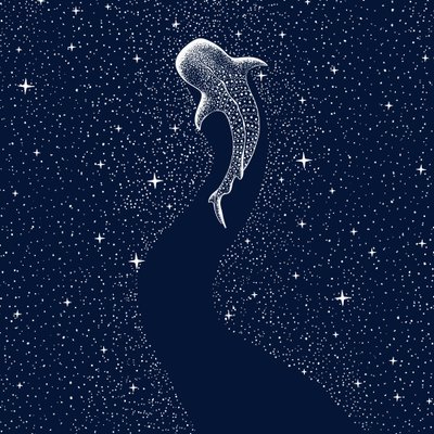 Requin-baleine étoilé - Alirıza ÇAKIR